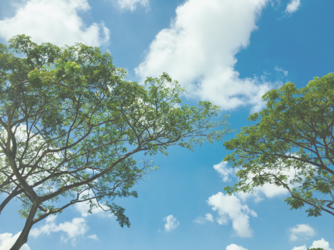blue-sky