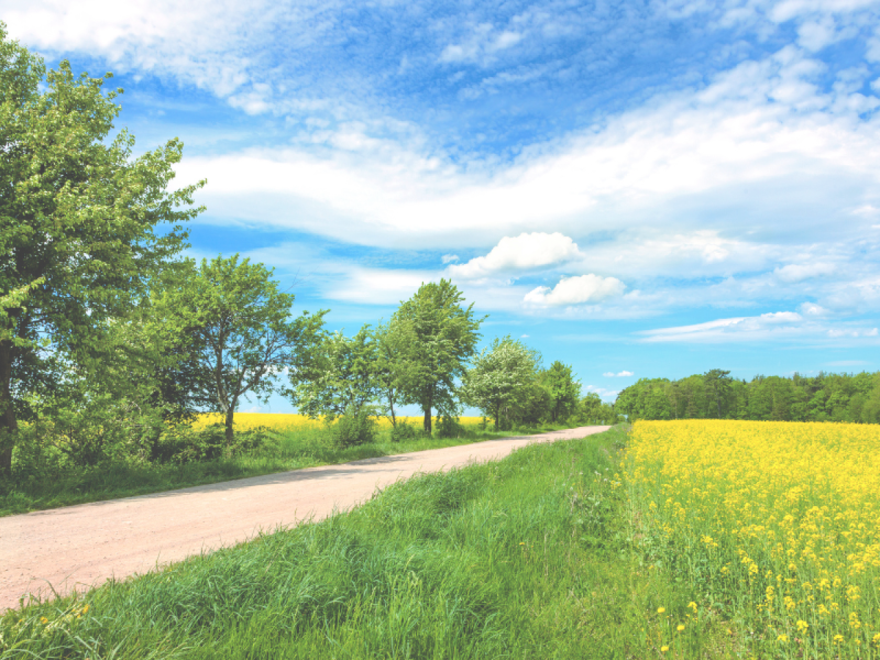 Spring Highway Top Tips for Driving Safely in Spring | Right Fuel Card