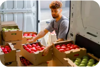 man gathering tomato boxes