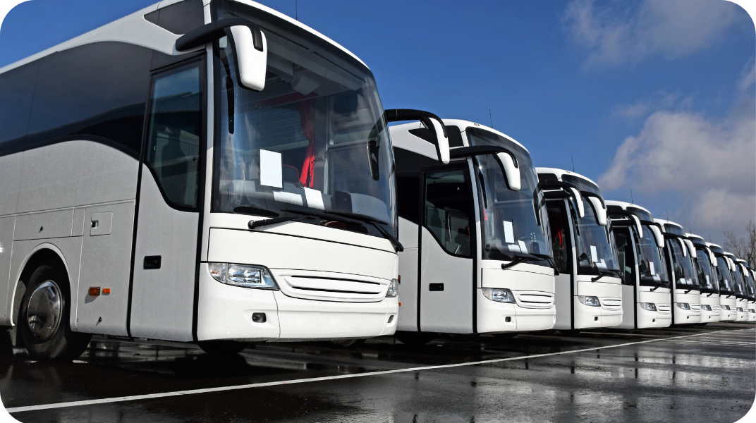 Coaches lined up in a row